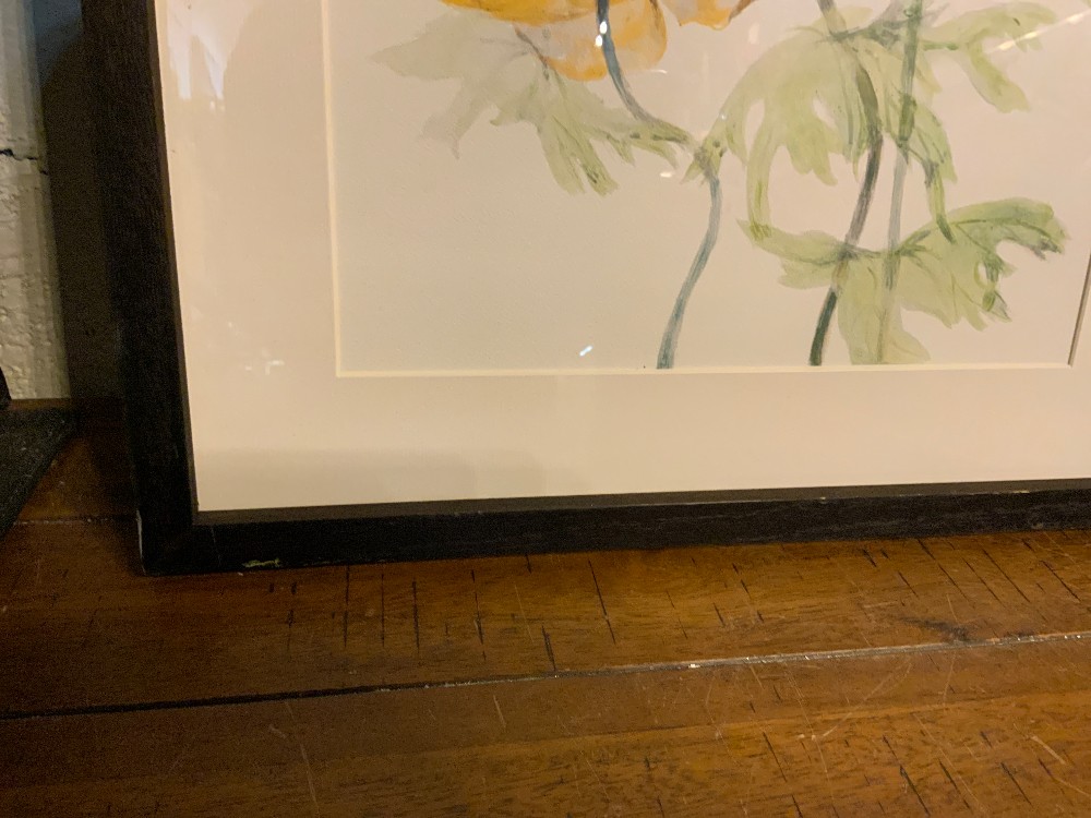Framed Art