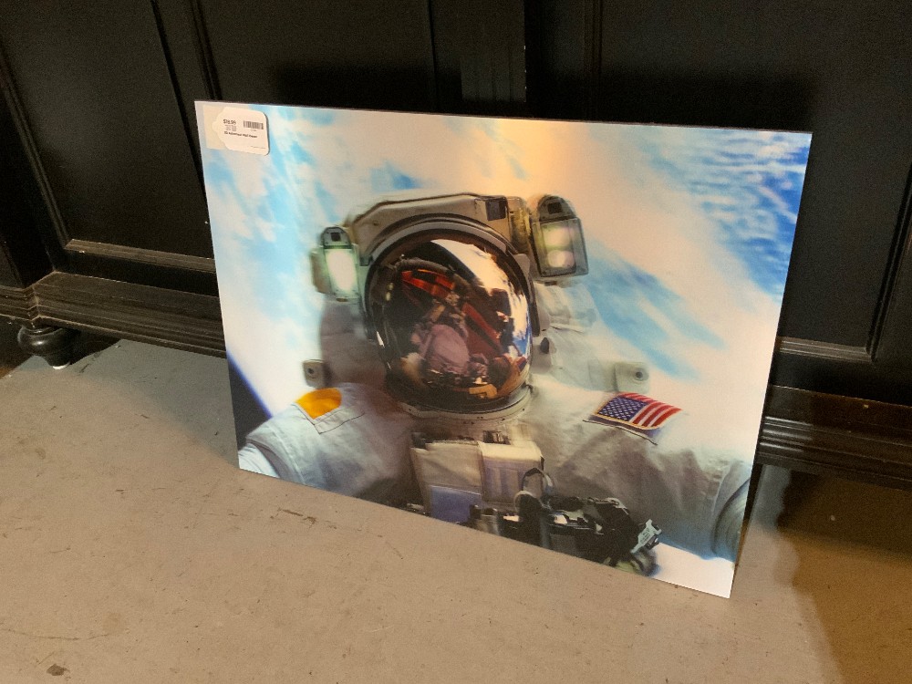 3D Astronaut Wall Decor
