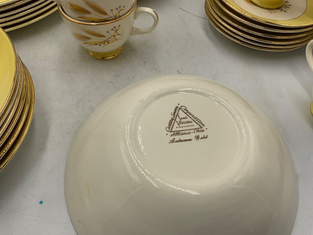 Autumn Gold Century Service Dish Set - Place setting for 6