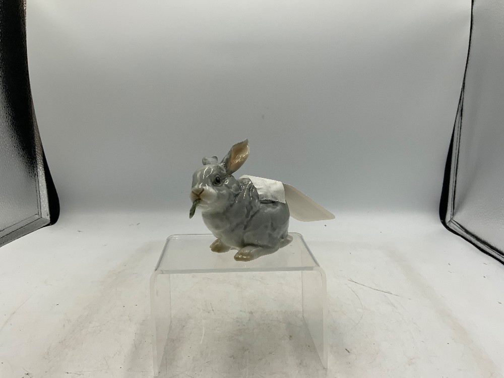 Hutschen Rutner Rabbit