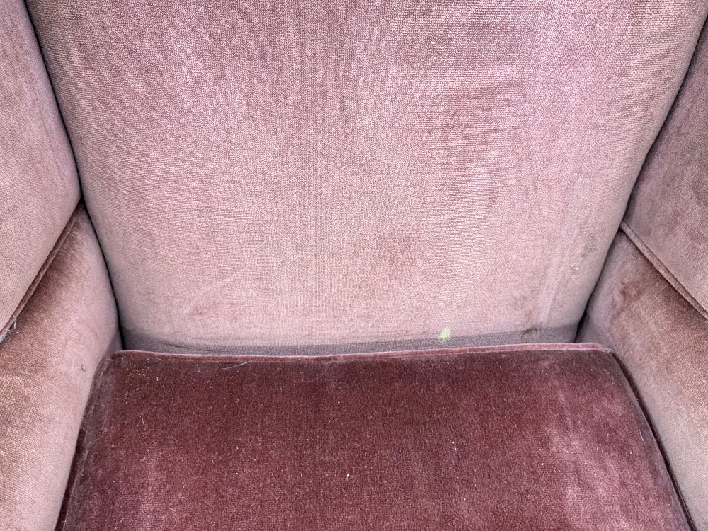 Penbrook Velvet Wingback