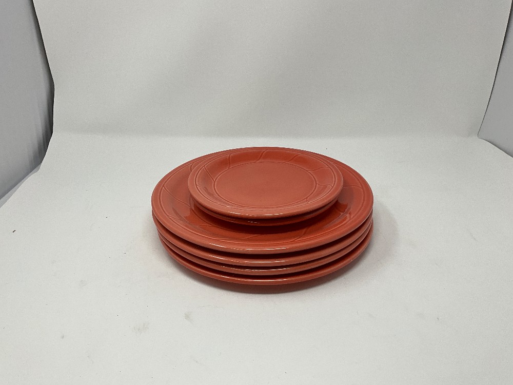 Crestware 16pc Coral Dish Set