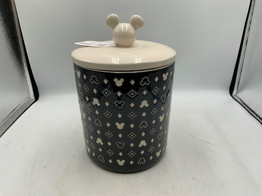 Large Mickey Canister
