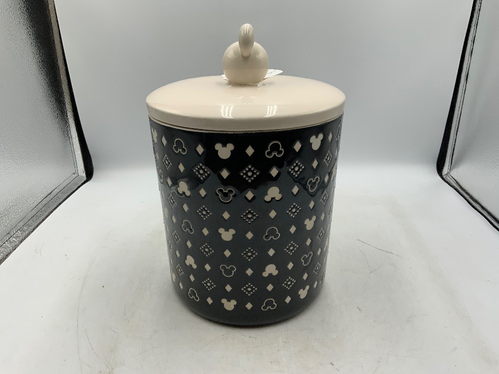 Large Mickey Canister