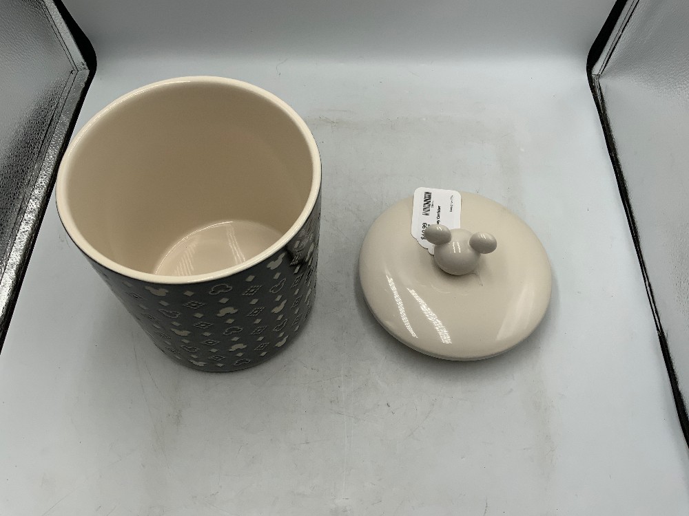 Large Mickey Canister