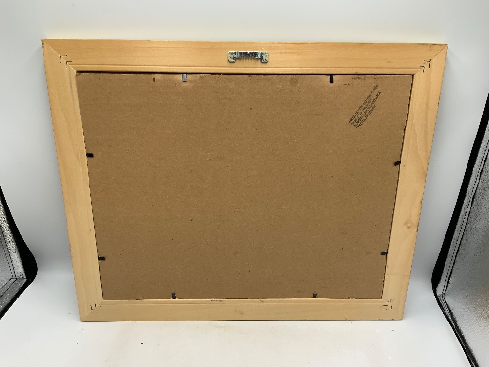 Cinderella Framed Art