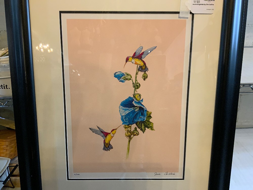Hummingbirds by Jim Collins