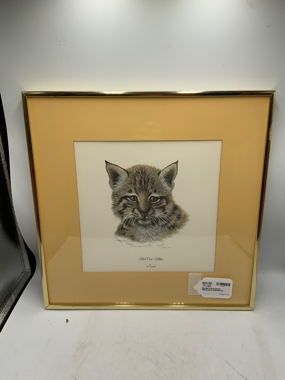 Signed & Numbered Farnsworth Framed Art