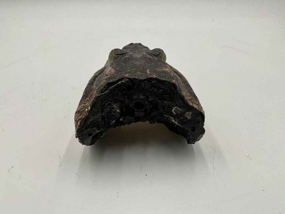 Alligator Head