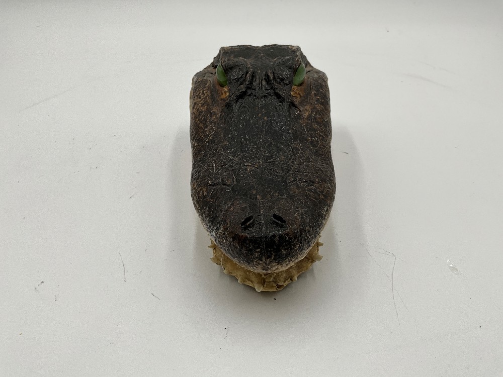 Alligator Head