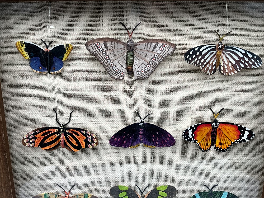Ballard Design Butterfly Art
