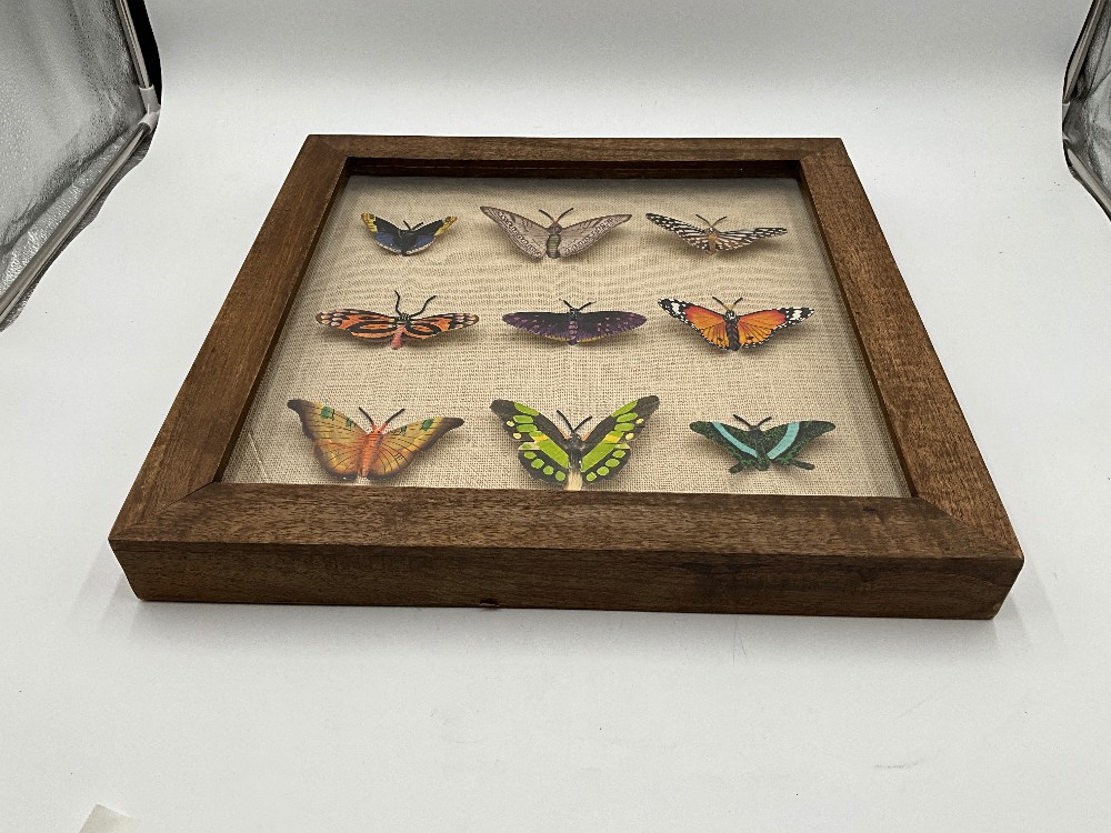 Ballard Design Butterfly Art
