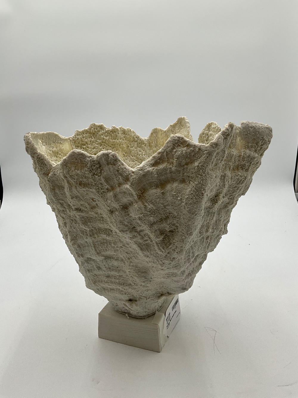 Pottery Barn Coral Vase