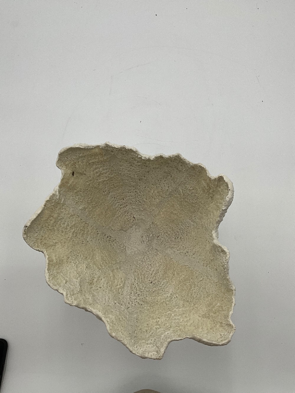 Pottery Barn Coral Vase