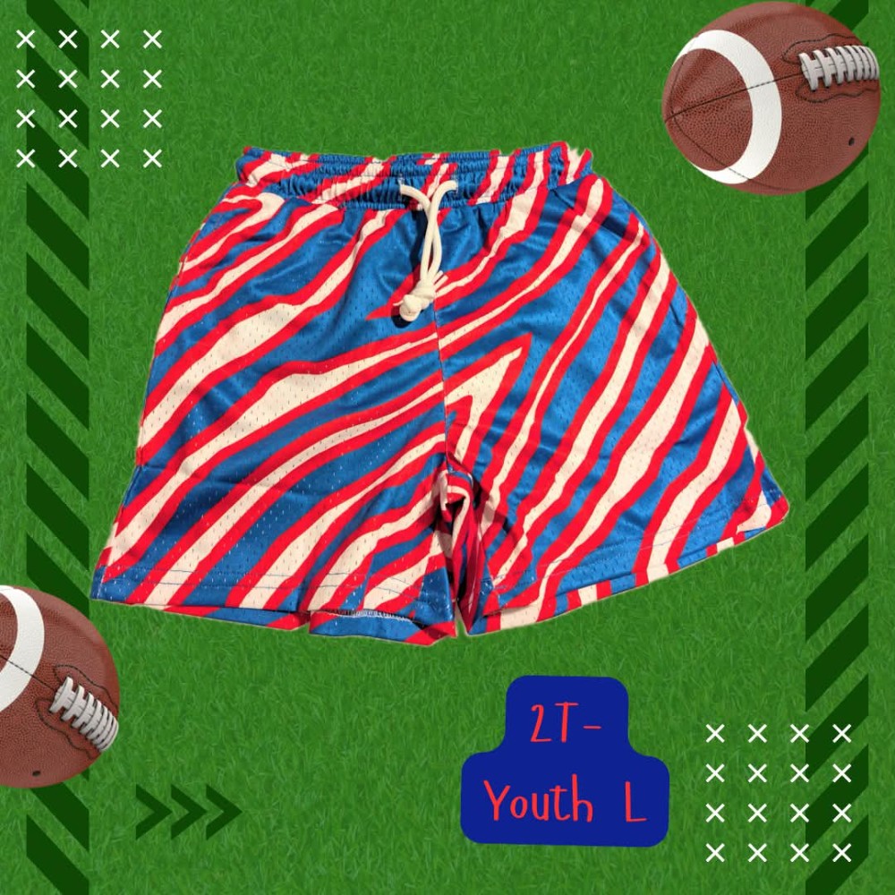 Buffalo Stripe mesh shorts