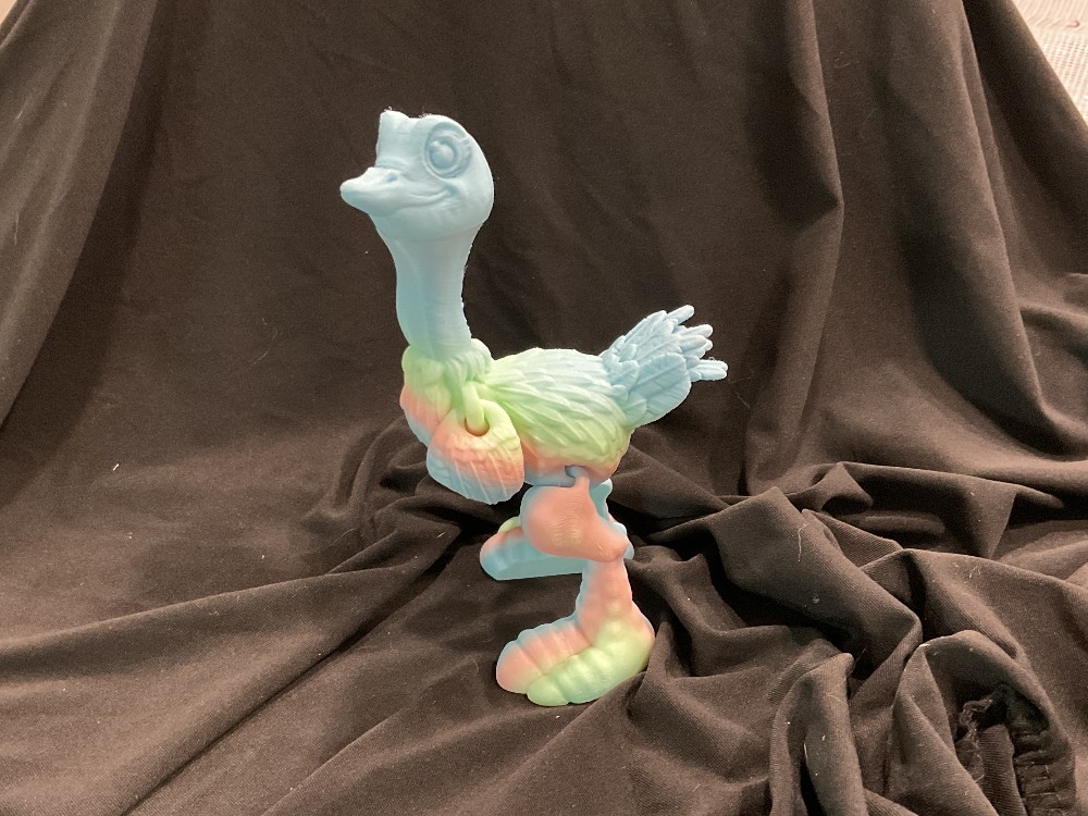 Ostrich