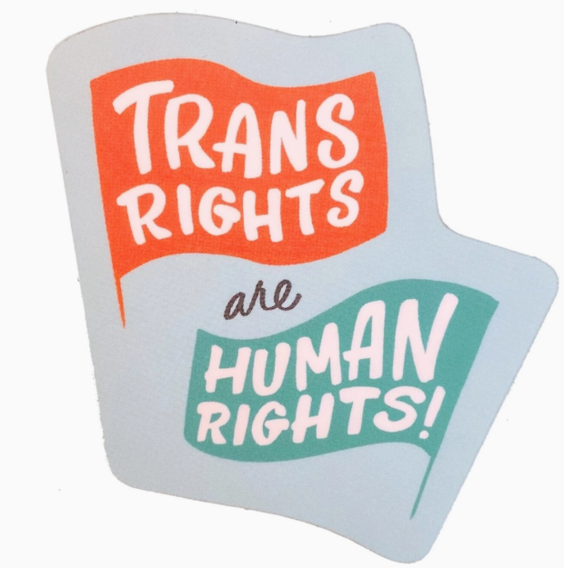 Trans Rights Sticker