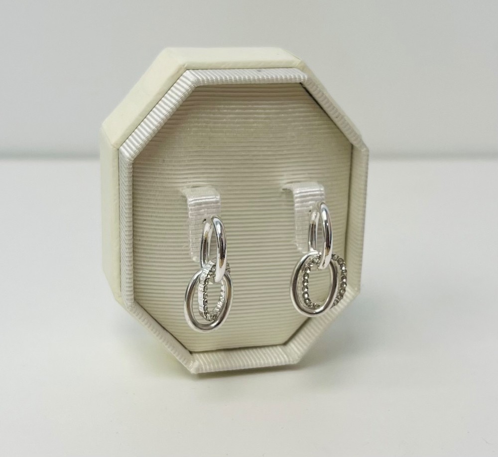 Boucle d'oreille stainless et diamants