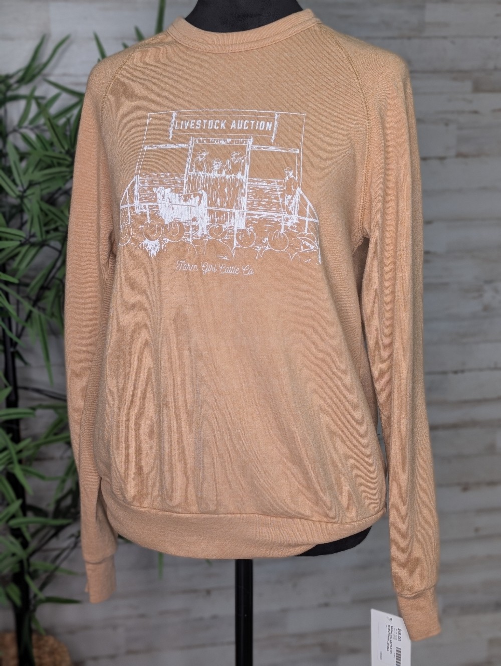 Sweatshirt / Pullover