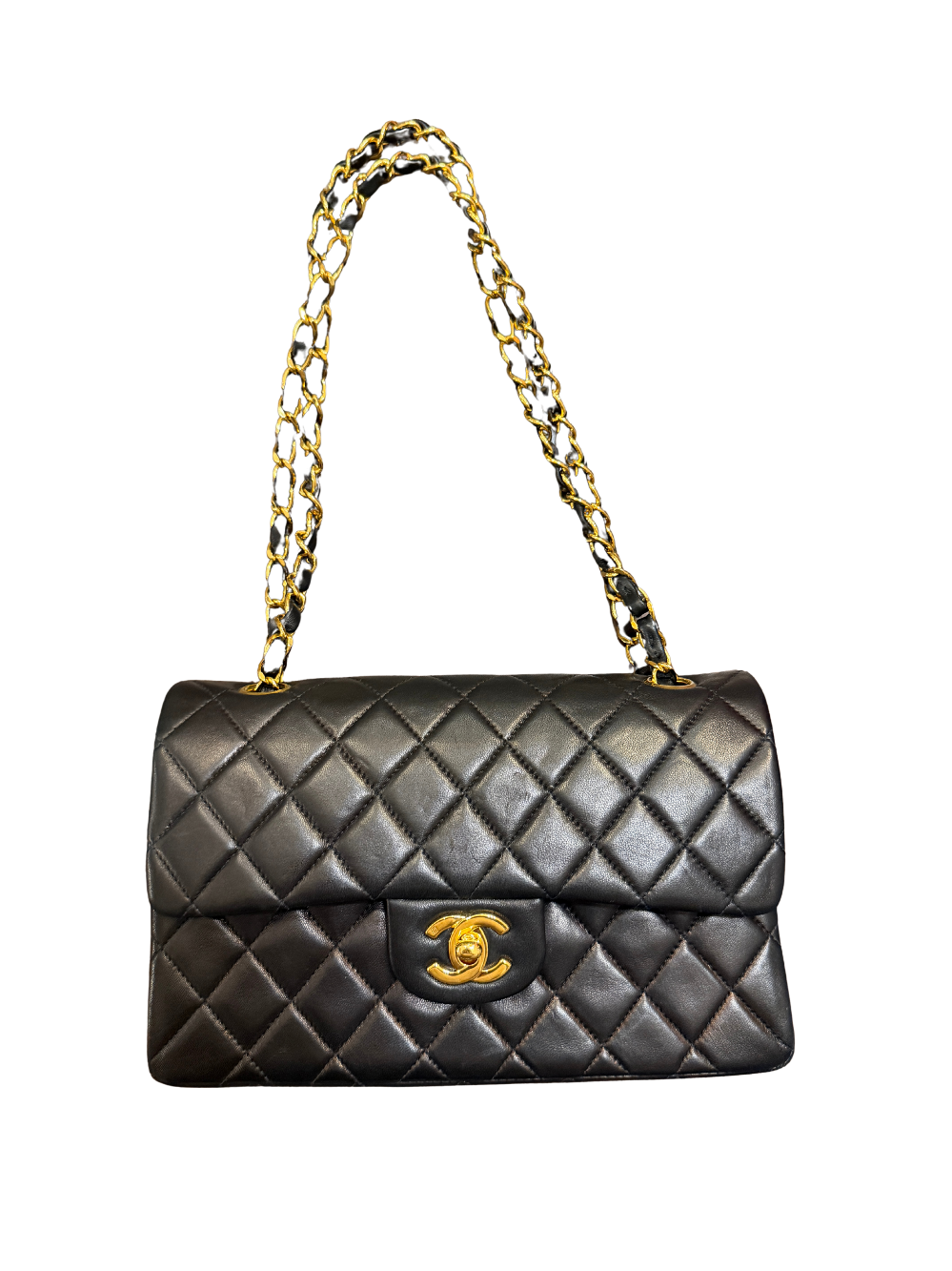 Handbags + Wallets