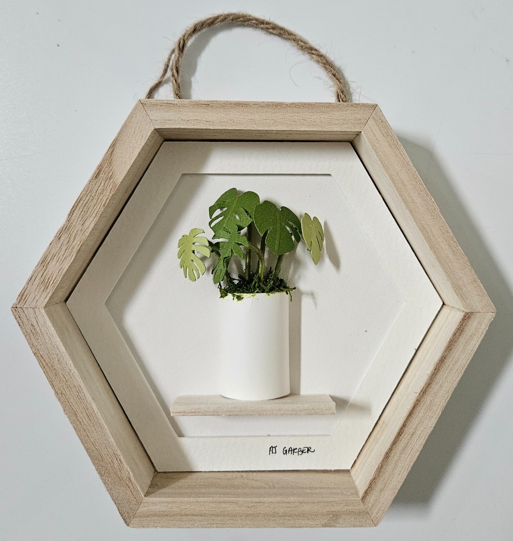 3D Mini Monstera Plant w/Shelf