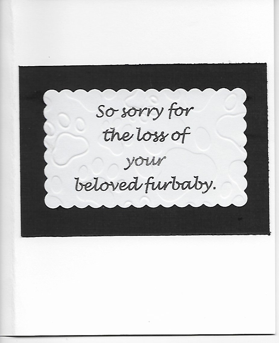 Pet Sympathy