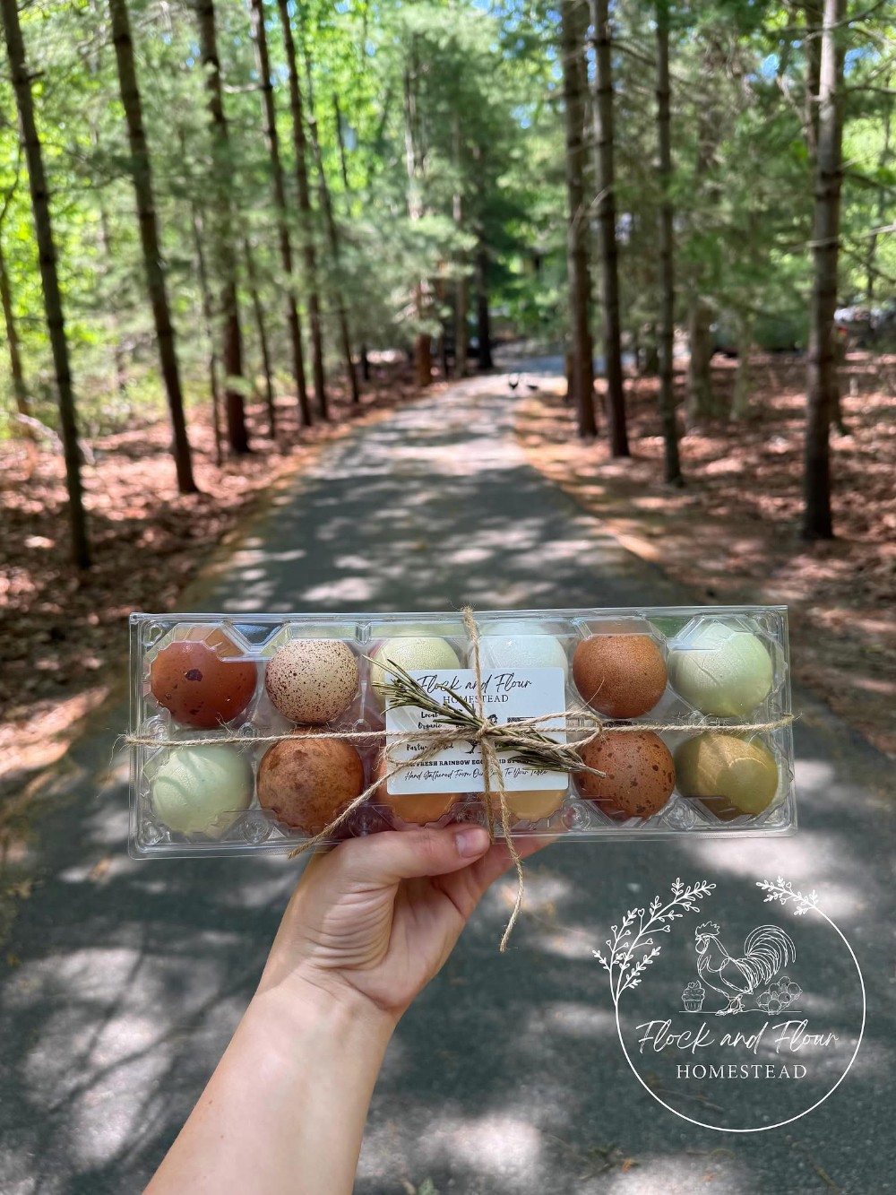 Farm Fresh Rainbow Eggs- Organic, True Free Range