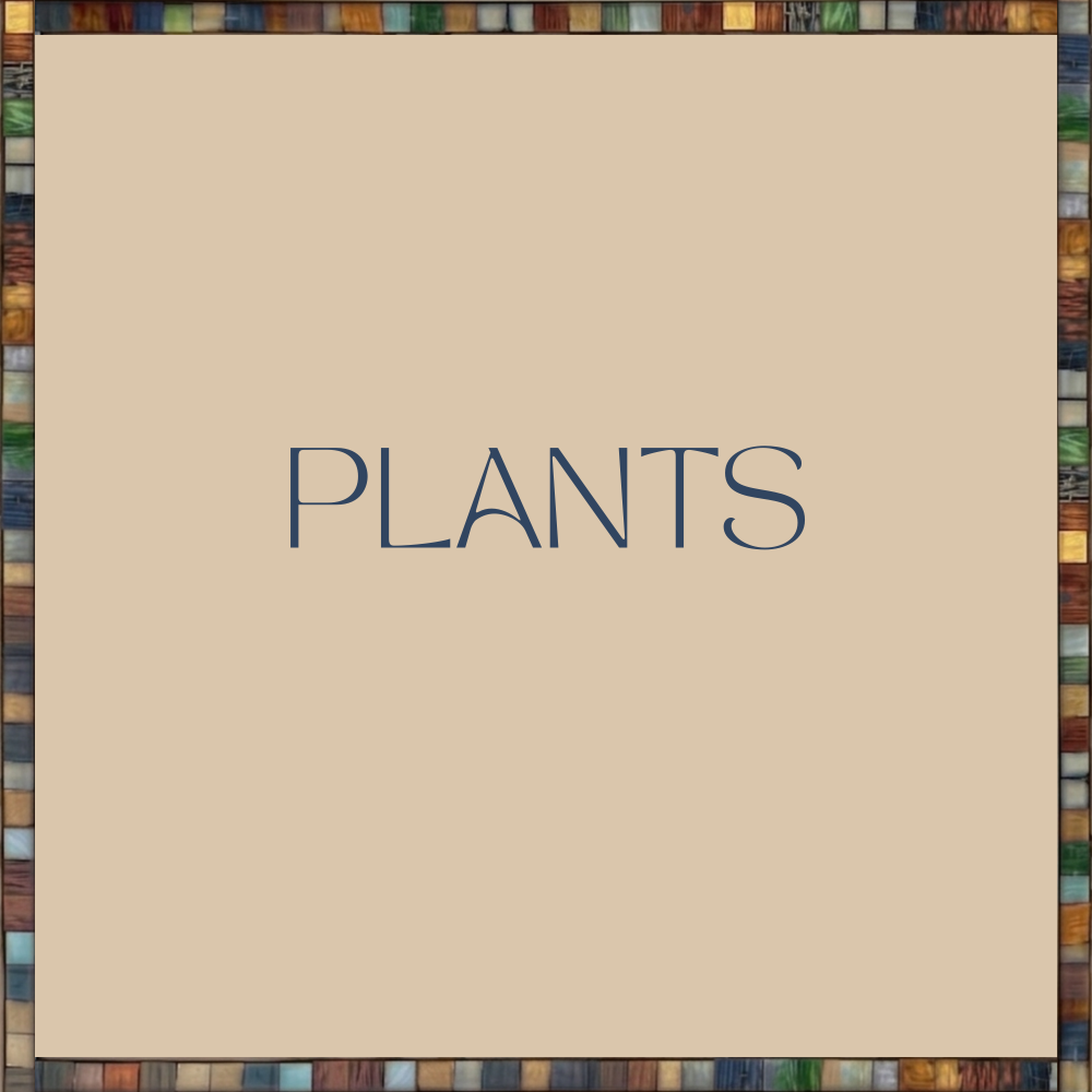 Plants