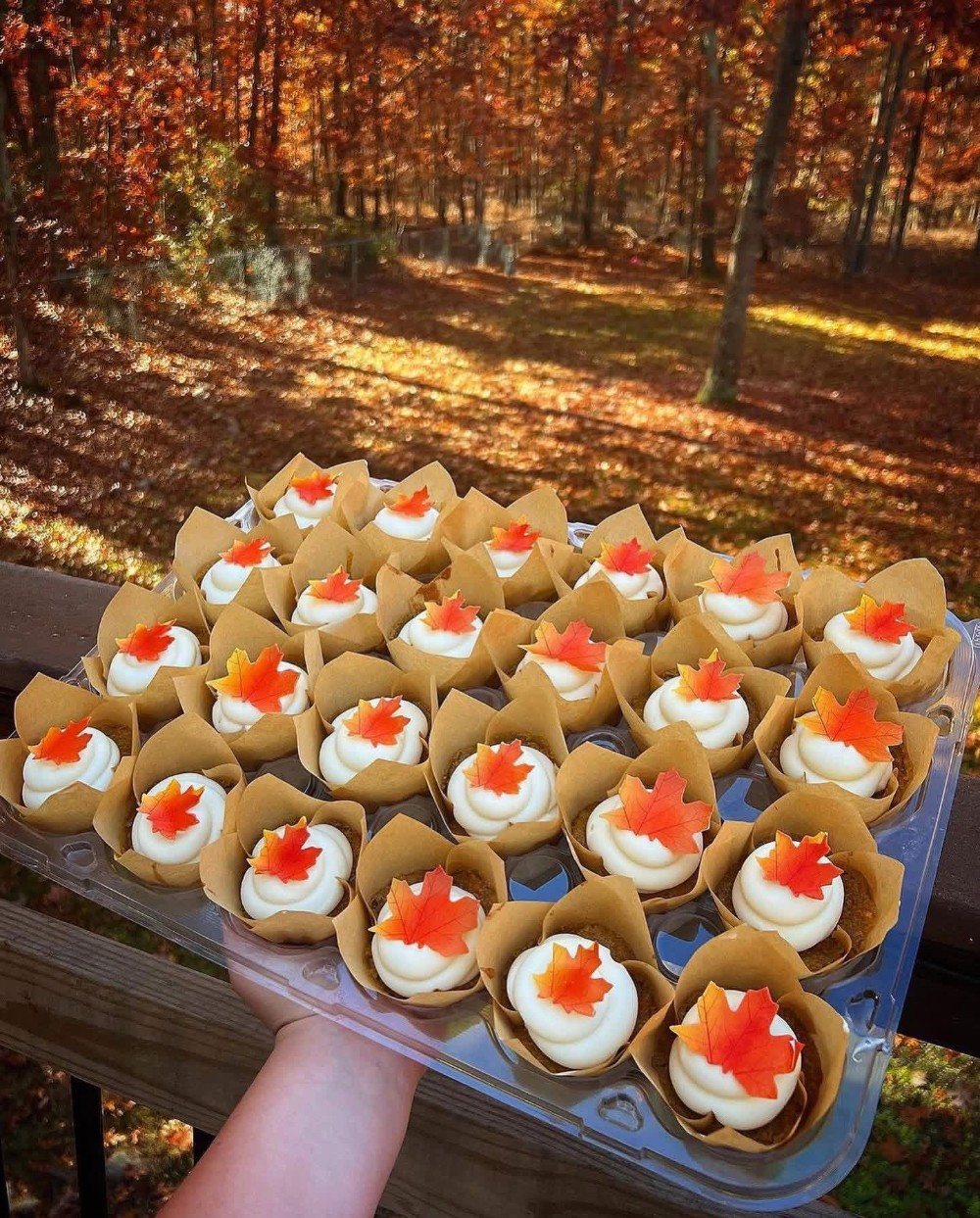 Gourmet Cupcakes- 4 Pack