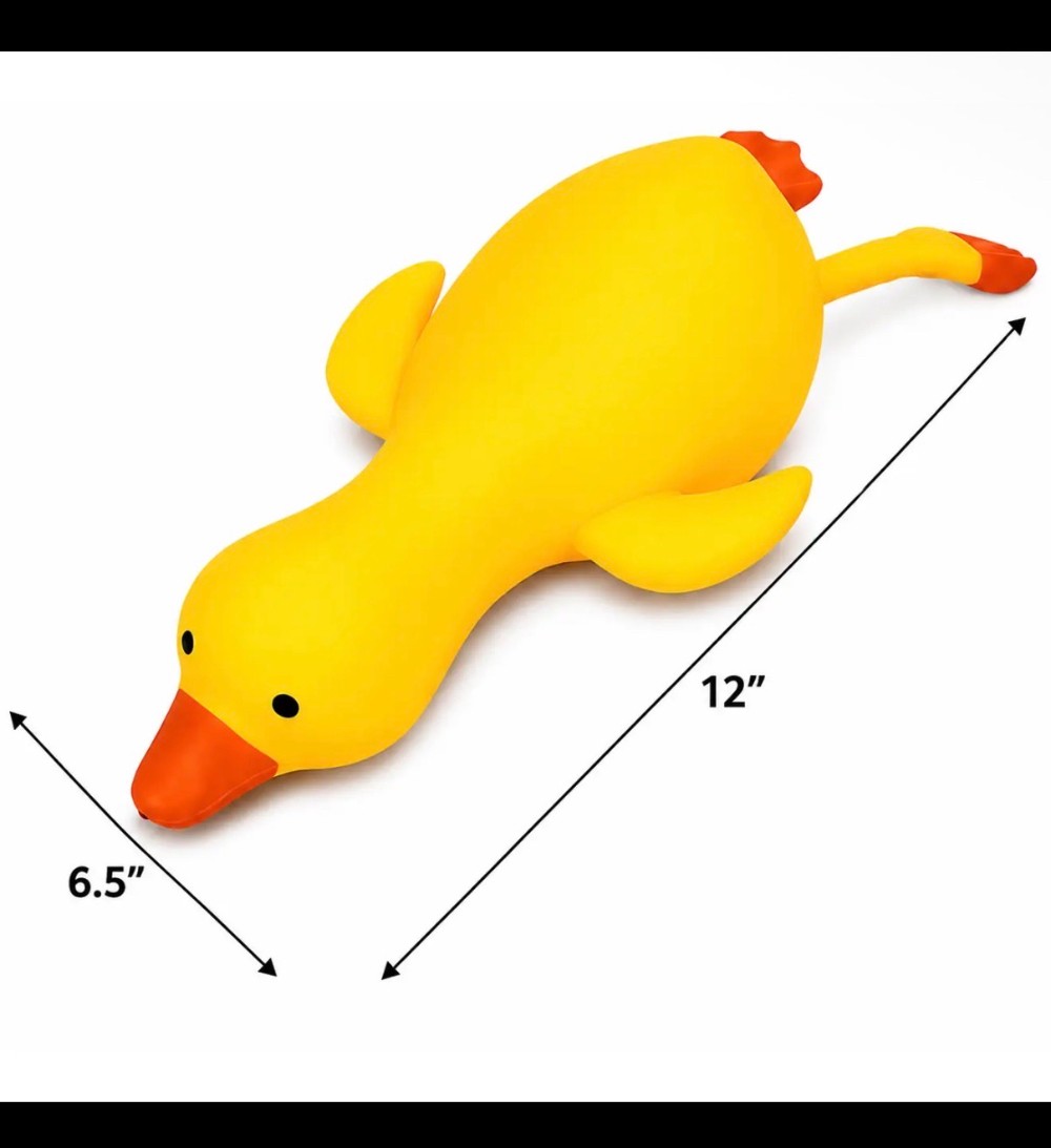 PREORDER BIG FLYIN’ DUCK