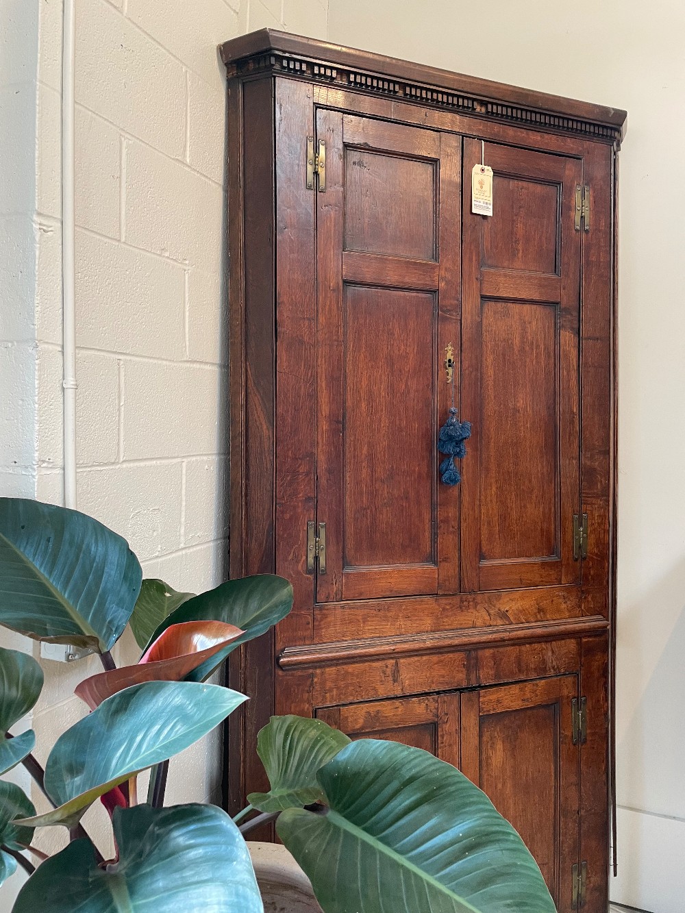 Case Goods & Shelving