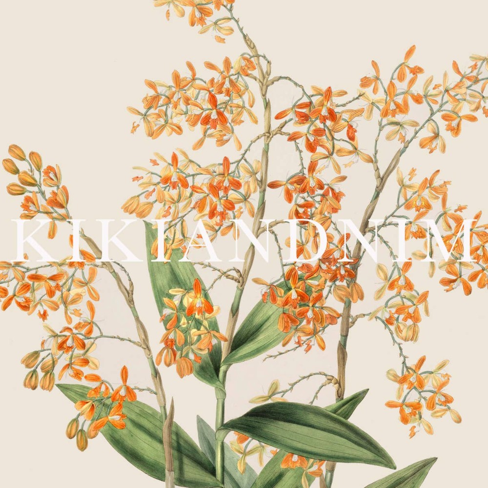 Soft Botanical  Print