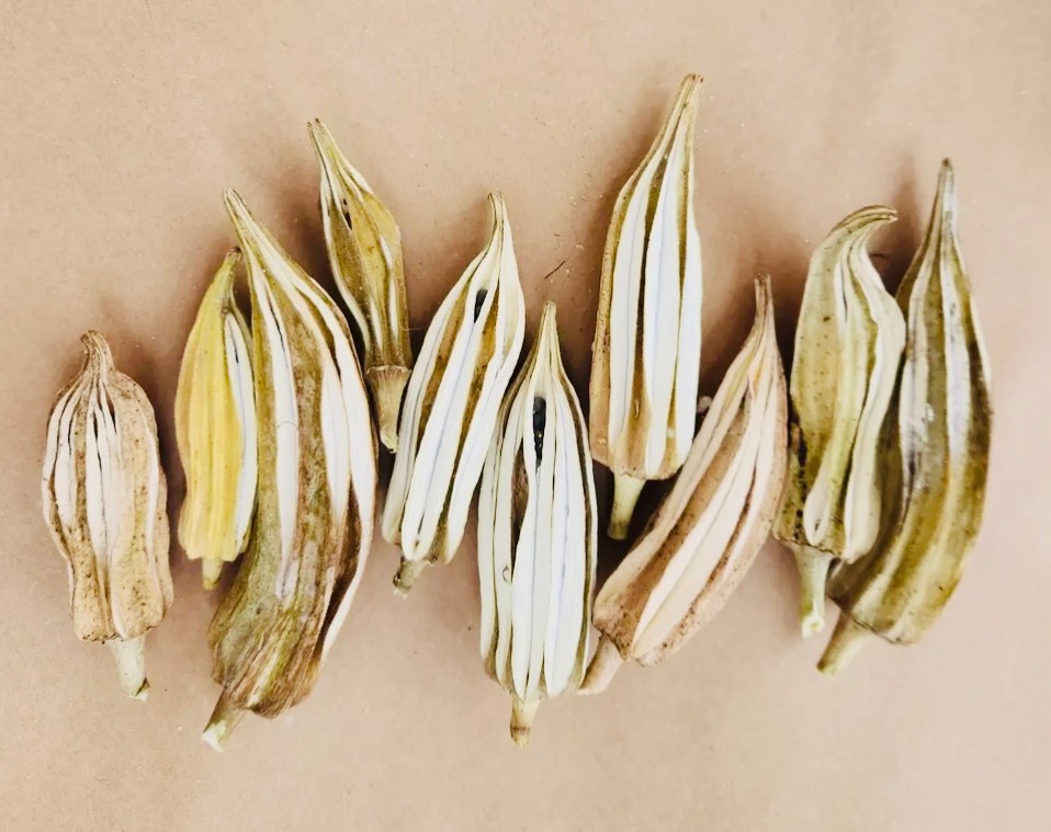 RMR Okra Pods - Beige (USA Farm)