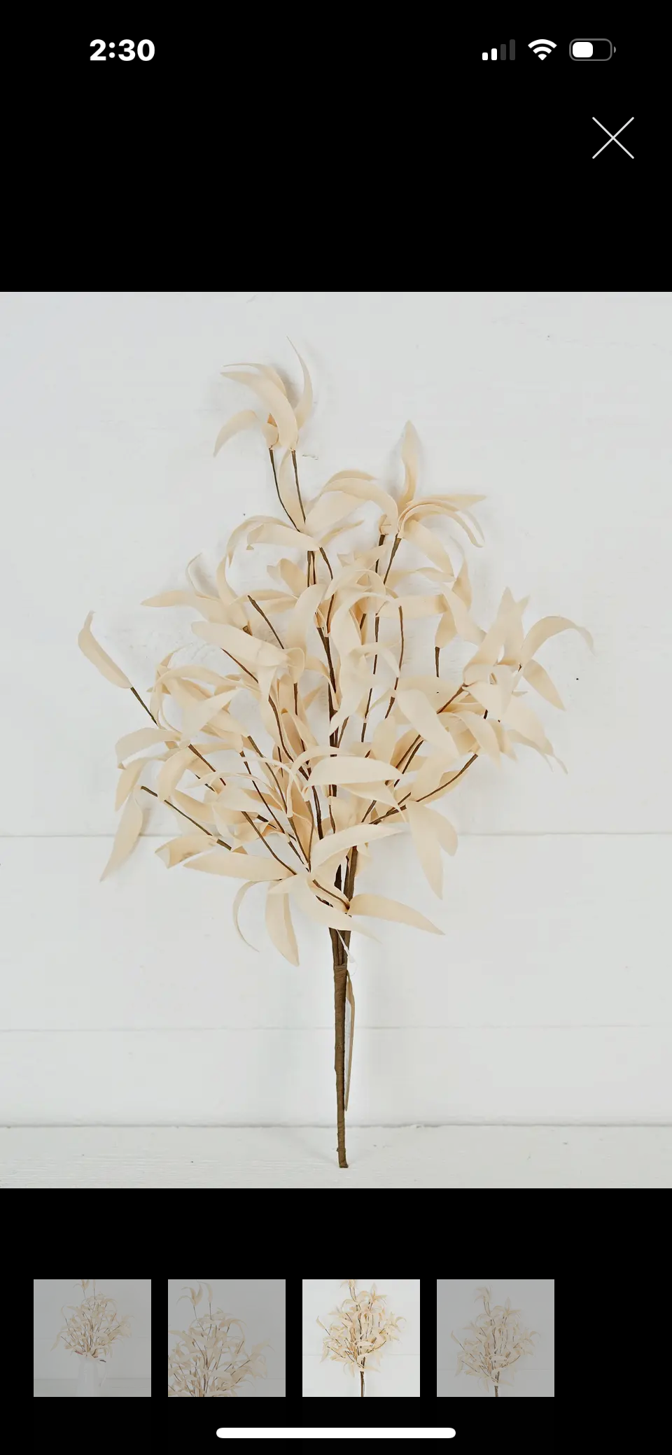 RMR 24 inch Buttercup Herb Leaves Bush