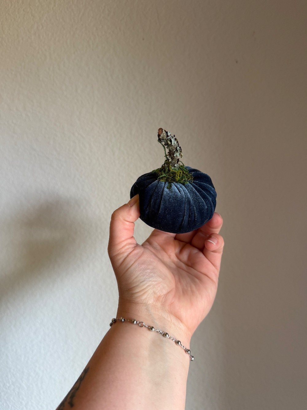ADA Blue Velvet Pumpkin - small