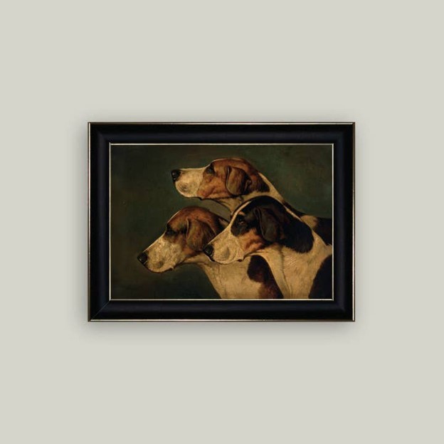 RMR - Three English Foxhounds 7x5