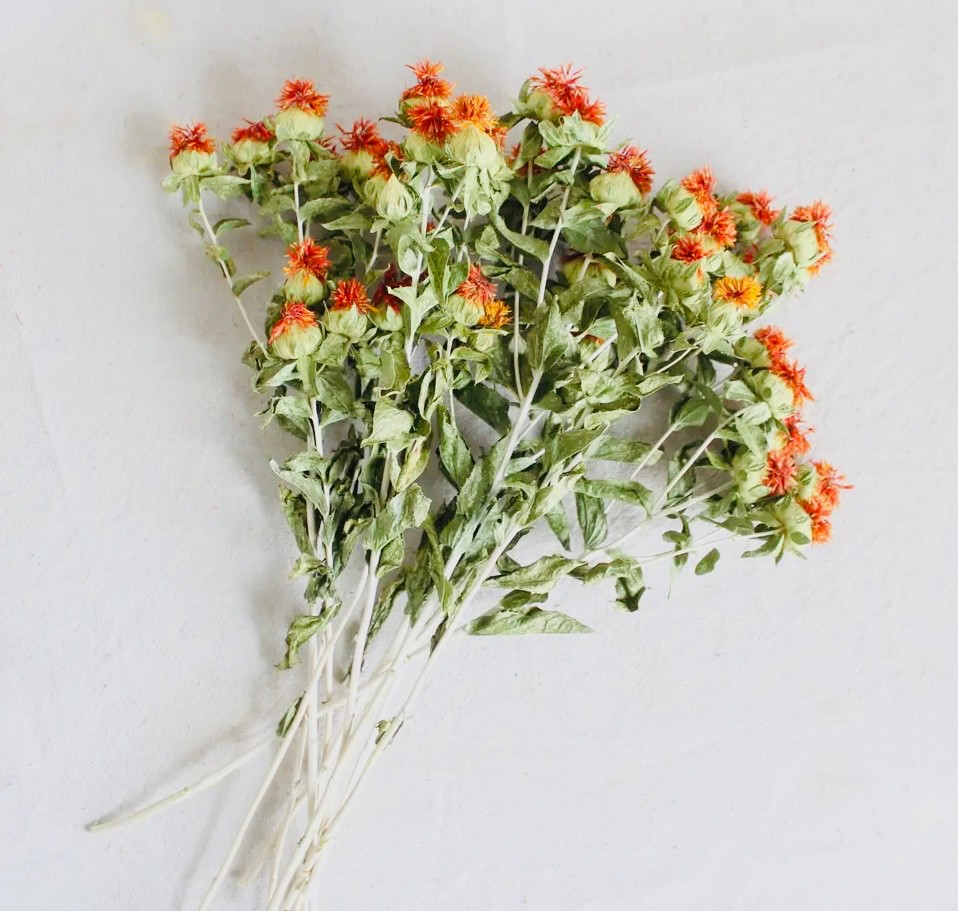 RMR 4 oz Dried Safflower Carthamus (USA Farm)