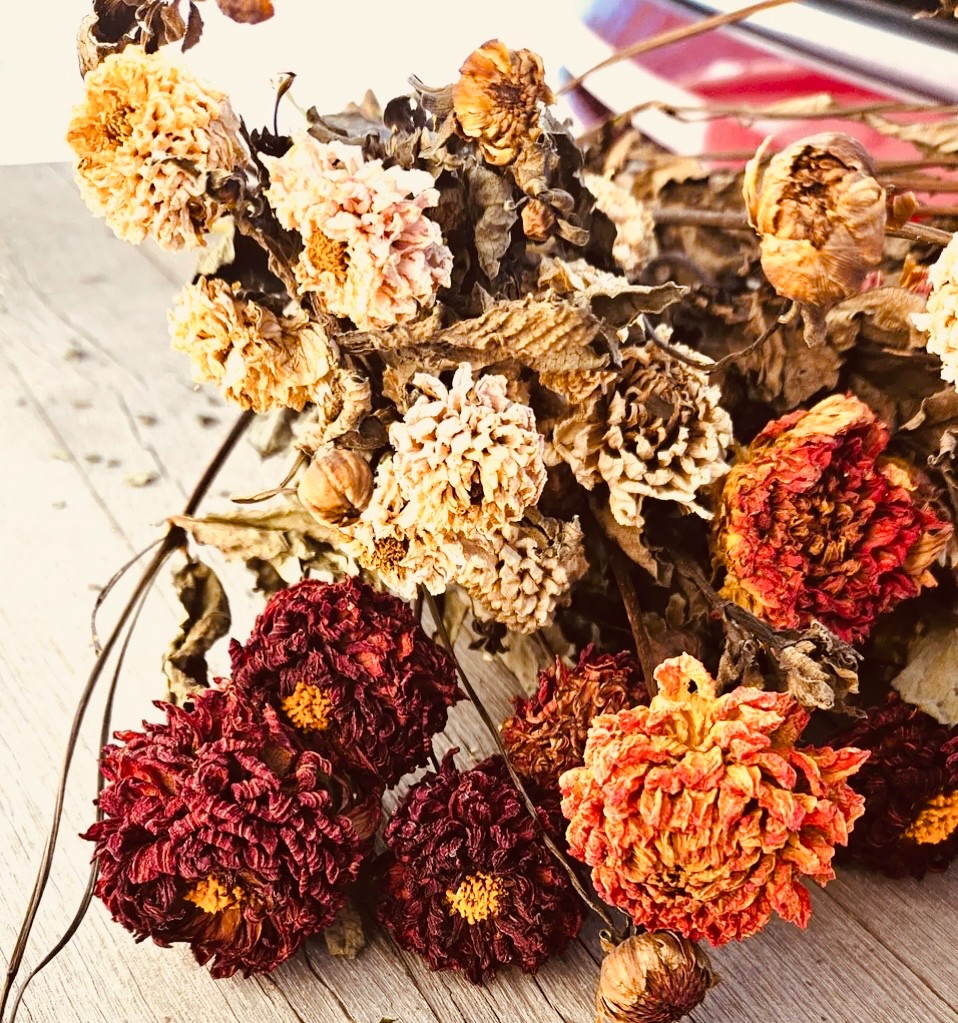 RMR Dried Dahlias - Yellow/Rust (USA Farm)