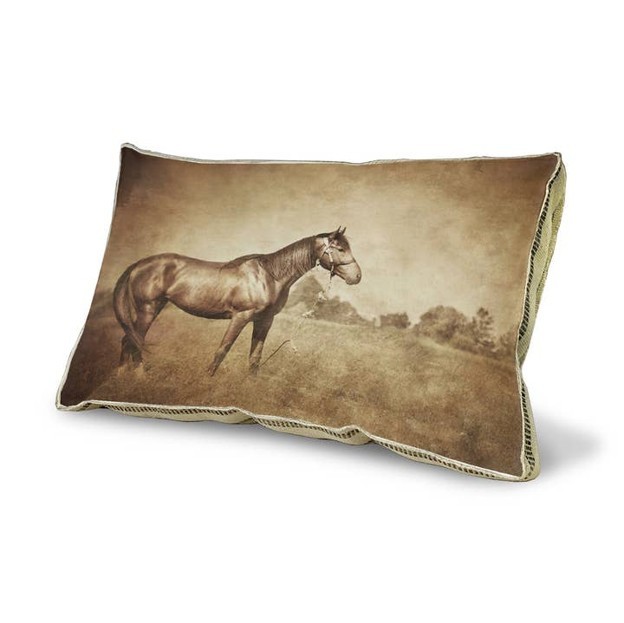RMR - Sepia Horse Decorative Pillow
