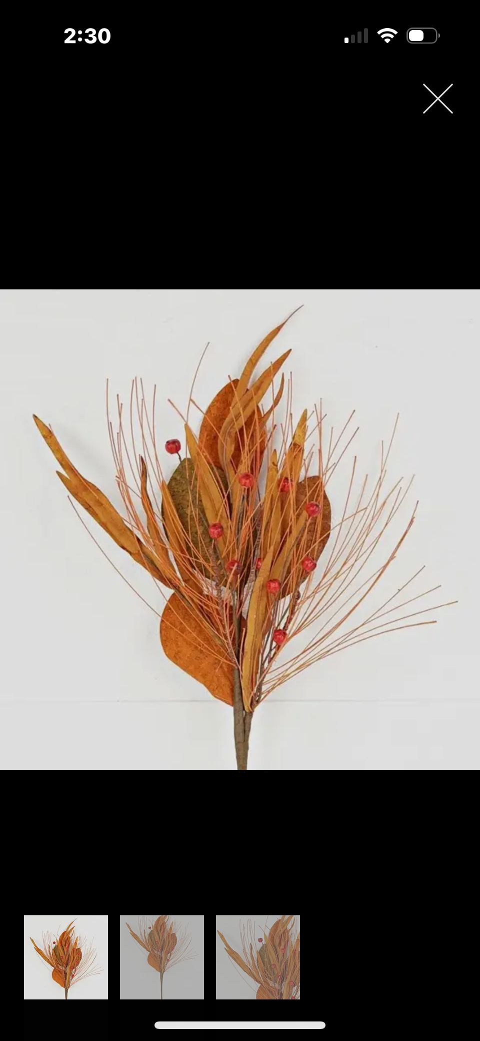 RMR 22 inch Bush-Rustic Fall Magnolia Ivy w/pumpkins