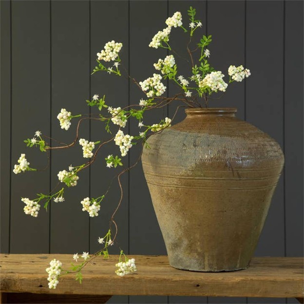 RMR - Arabian Jasmine Branch