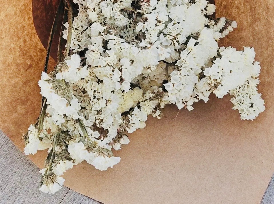 RMR Dried Statice - White (USA Farm)