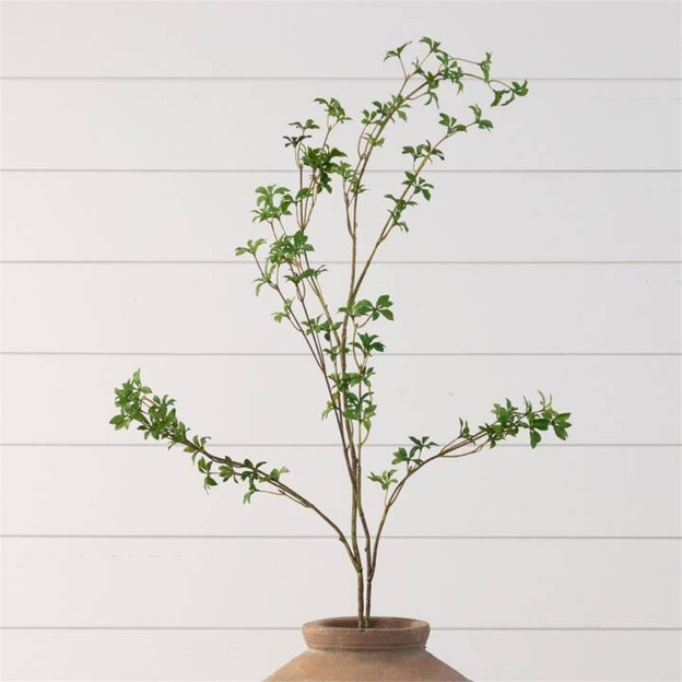 RMR - Blooming Enkianthus Branch
