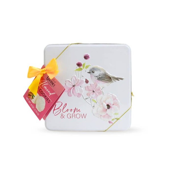 RMR - Spring Square Tin: Almond Tea Cookies