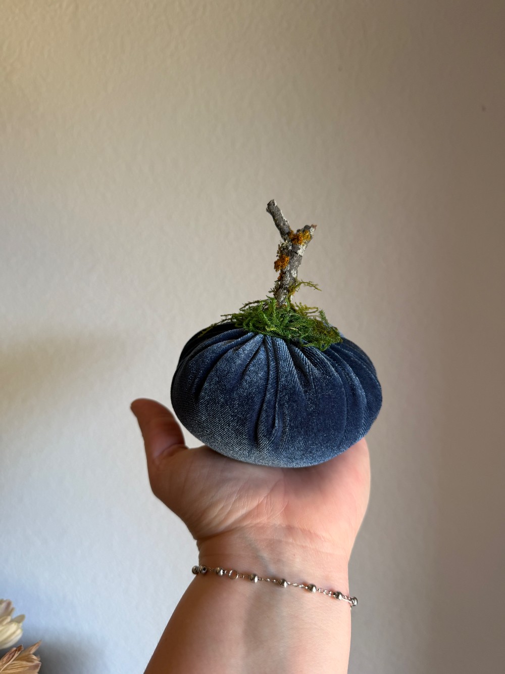 ADA Blue Velvet Pumpkin - medium