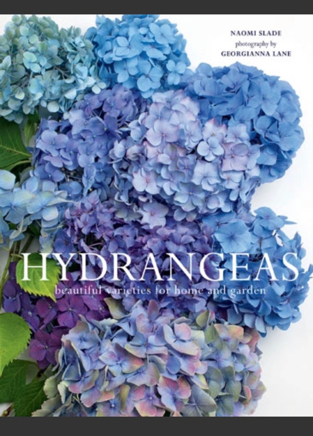 RMR - Hydrangeas: Beautiful Varieties For Home & Garden