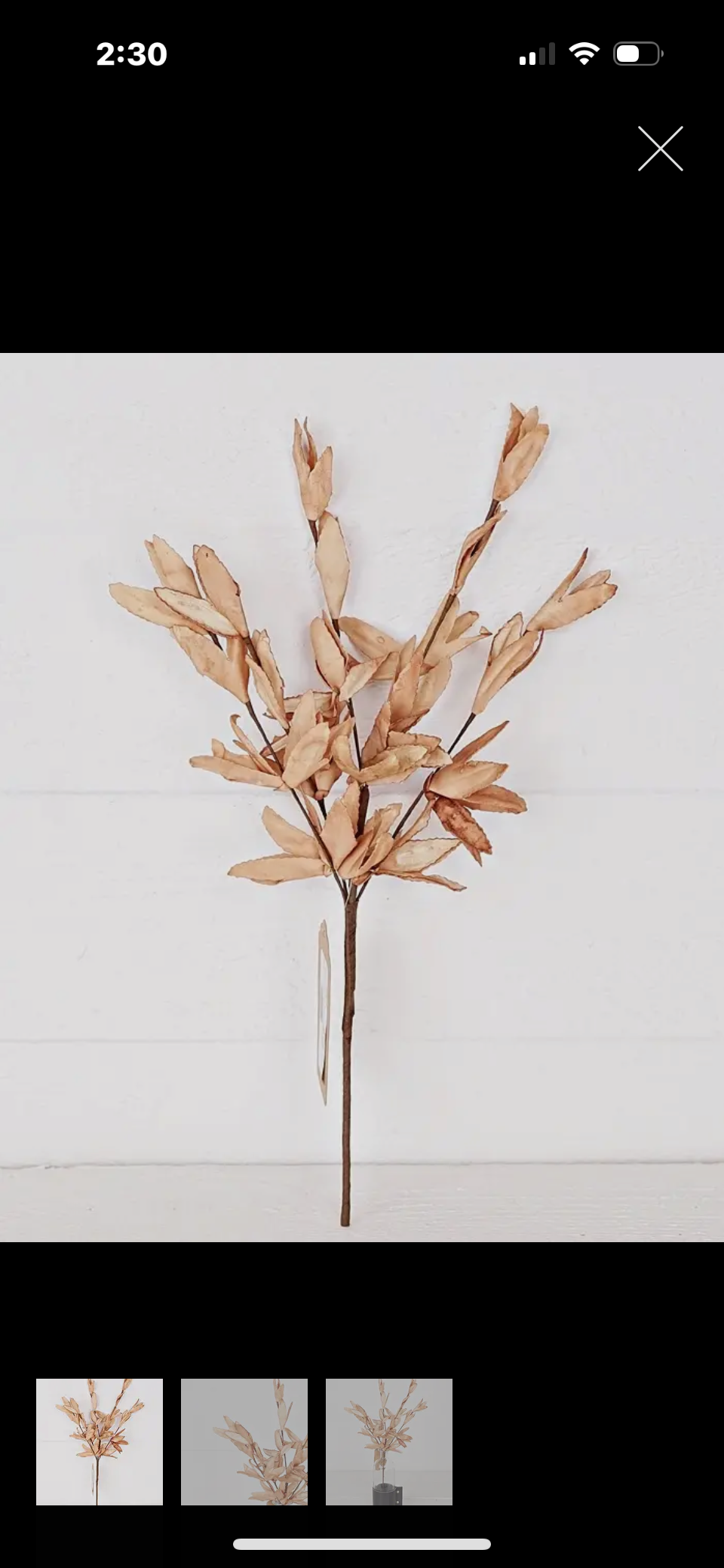 RMR 16 inch Pick-PE Herb Leaves Teastain