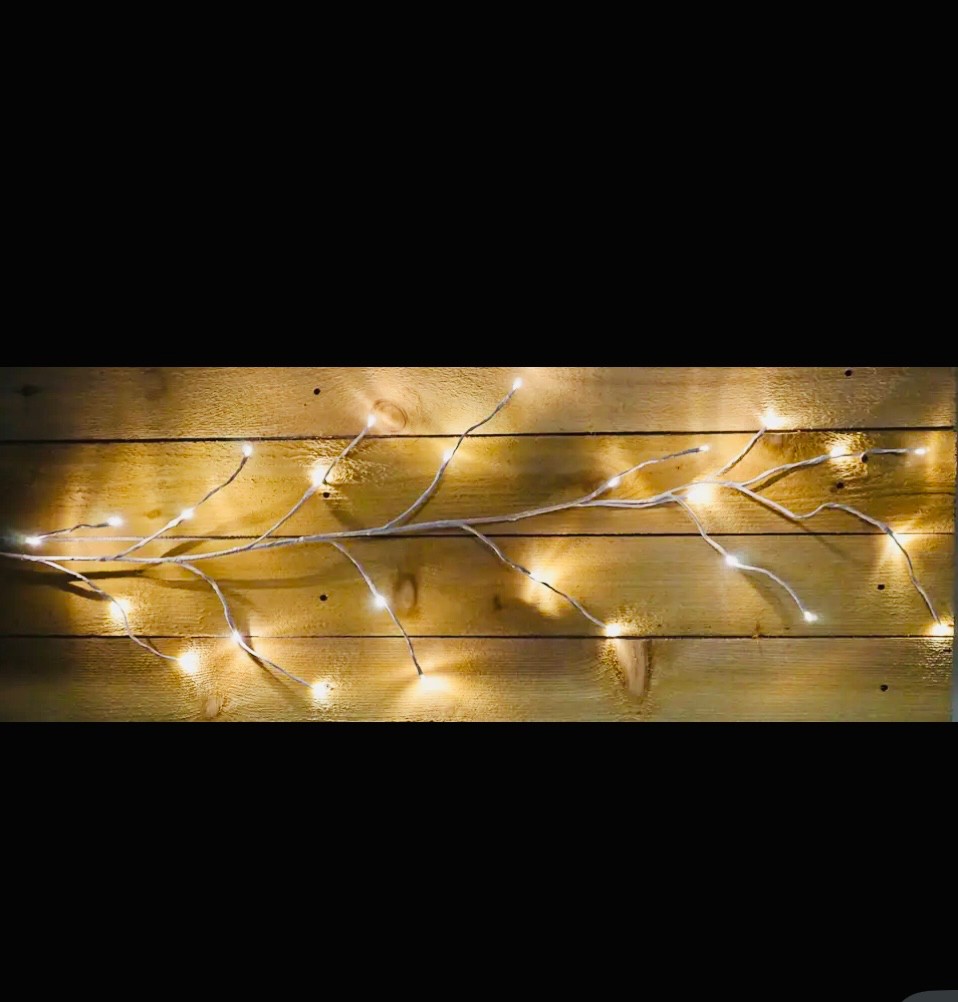 RMR 5ft with 26 lit LED Twig Light Garland - White
