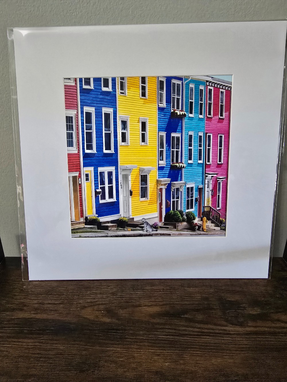 8 x 8 Print - Jelly Bean Row