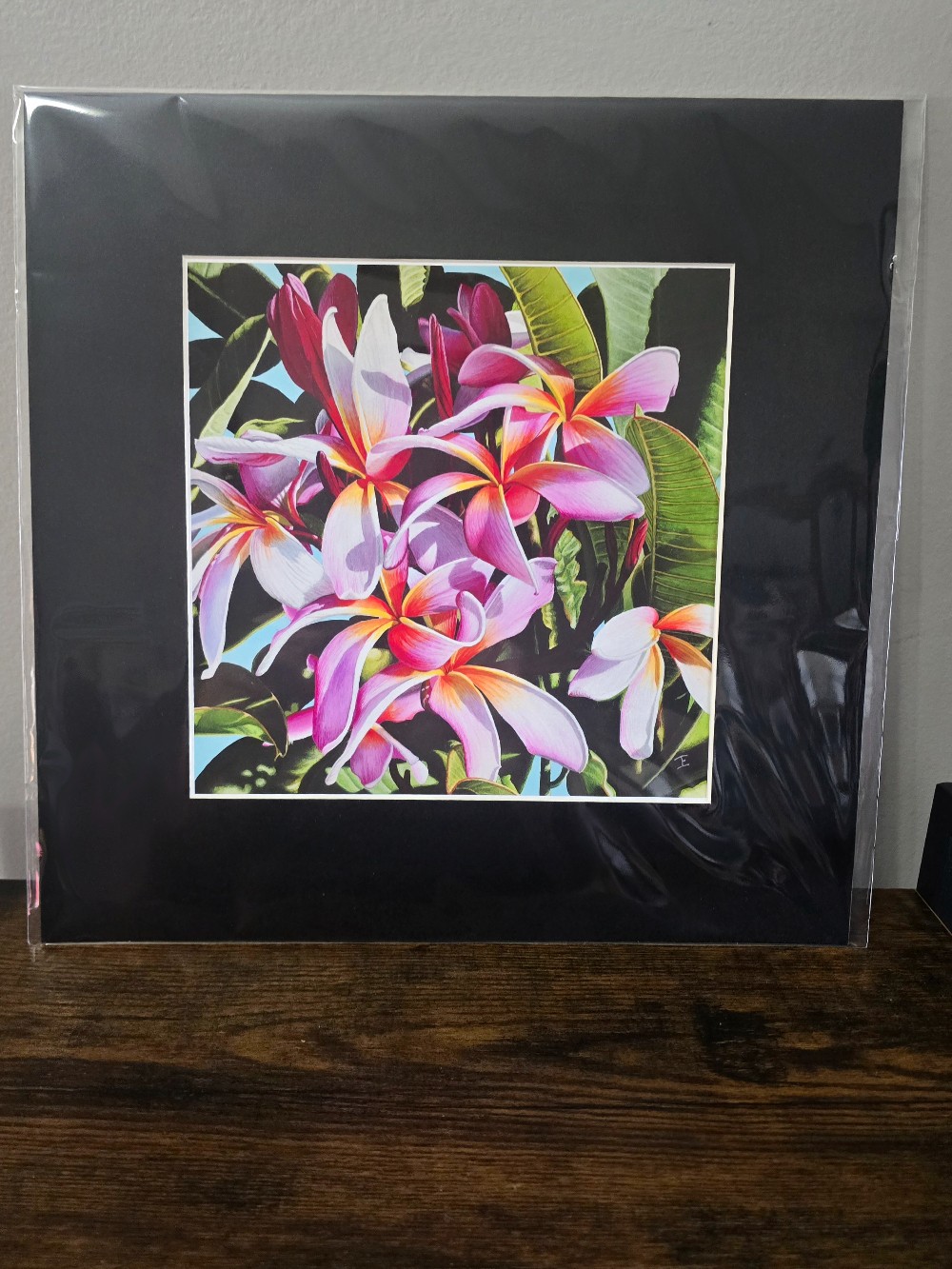 8 x 8 Print - Plumeria